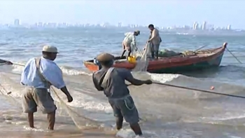 Moçambique – Interdita a pesca do caranguejo do mangal e do camarão de superfície até final do ano