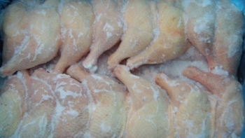 Moçambique – Laboratório deteta salmonela no frango congelado comercializado em Nampula e Nacala
