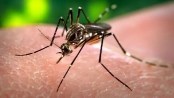 Cabo Verde regista dois casos de dengue na cidade da Praia