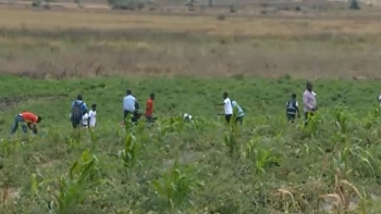 Angola – Ministro da Agricultura reconhece que o país está longe da autossuficiência alimentar