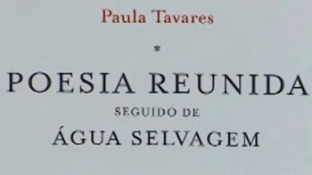 Ana Paula Tavares tem novo livro “Poesia reunida seguida de Água Selvagem” com edição da Caminho
