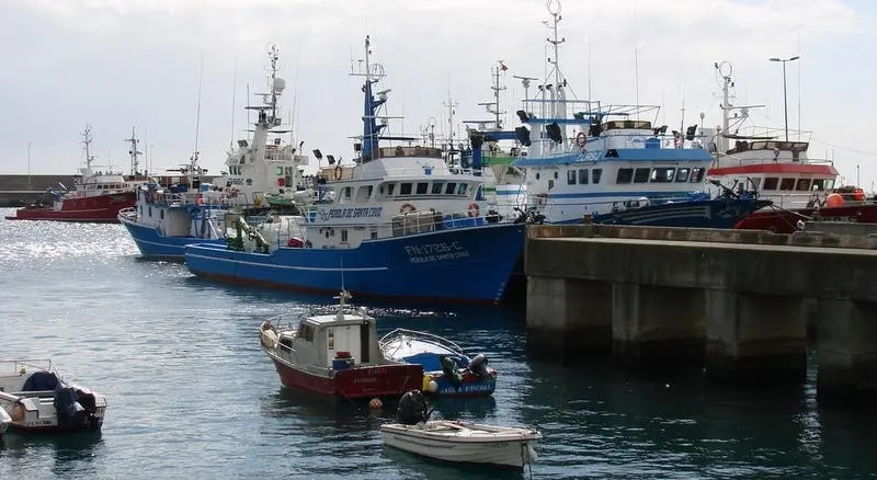 Cabo Verde e Guiné-Bissau participam em debate sobre pescas na África Ocidental