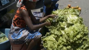 Moçambique – Comerciantes acumulam prejuízos devido à vaga de calor que está a deteriorar vários produtos