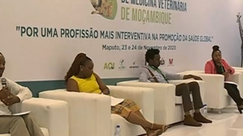 Moçambique – Congresso internacional de Maputo busca melhorar capacidade interventiva na saúde animal