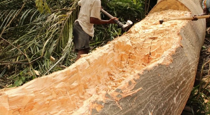 São Tomé  e Príncipe – Deputado da oposição acusado de encabeçar rede de abate ilegal de árvores