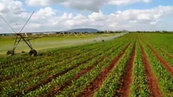 Moçambique – Programa “A Juventude e a Agricultura” leva centenas de jovens a aderir ao agro-negócio