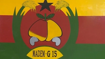 Guiné-Bissau – Líder do MADEM G-15 não descarta possibilidade de apoiar futuro Governo de iniciativa presidencial