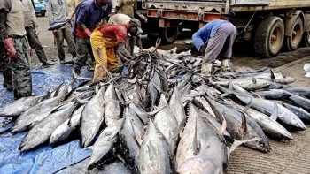 Guiné-Bissau – Técnicos do Ministério das Pescas ouvidos no Ministério Público em caso de alegada venda ilegal