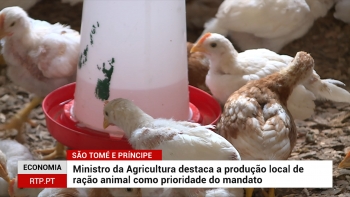 SÃO TOMÉ E PRÍNCIPE – Ministro da Agricultura destaca a produção local de ração animal como principal prioridade do mandato