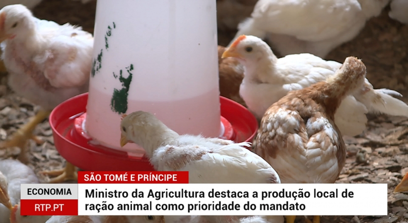 SÃO TOMÉ E PRÍNCIPE – Ministro da Agricultura destaca a produção local de ração animal como principal prioridade do mandato