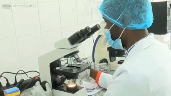 Angola sem registo de casos de cólera desde o ressurgimento da doença na SADC