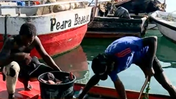 Cabo Verde – Ministério do Mar vai apoiar pescadores na transição para a pesca semi-industrial