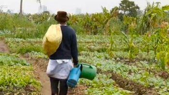 Moçambique – BAD disponibiliza mais de 30 milhões de euros para promoção da agricultura