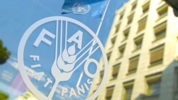São Tomé e Príncipe – FAO pede alivio da pressão do IVA sobre as agências internacionais de cooperação