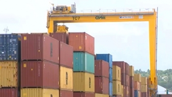 Moçambique – Porto de Nacala com prejuízo de 500 mil euros devido ao diferendo sobre exportação de feijão bóer