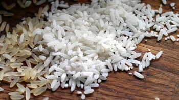Guiné-Bissau quer melhorar e aumentar a produção de arroz
