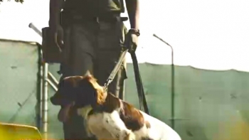 Moçambique – Aeroportos de Pemba e Nacala passam a contar com unidades caninas