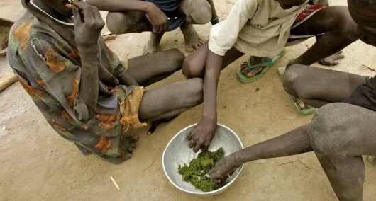 Moçambique – Insegurança alimentar atinge cerca de mil famílias em distrito no sul do país