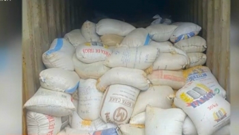 Moçambique – Autoridades apreendem 621 sacos com pontas de marfim destinadas ao Dubai