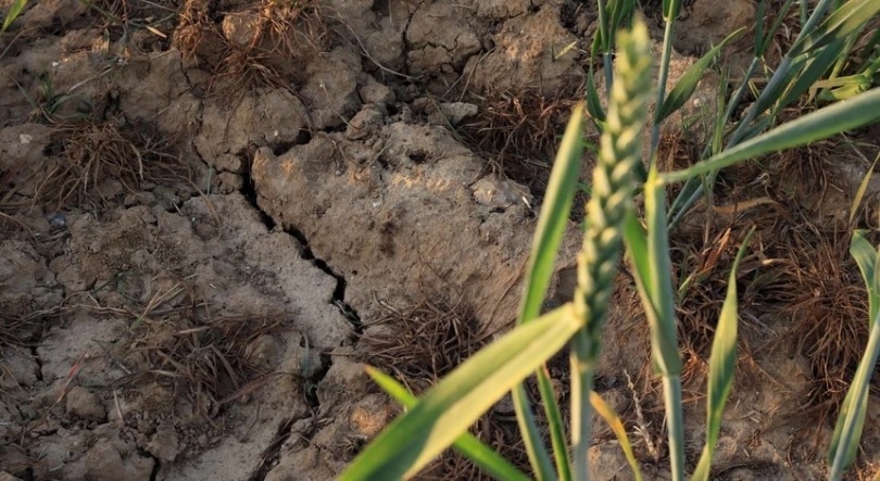 Imagem de Moçambique – PR pede ação conjunta da CPLP na mitigação das mudanças climáticas