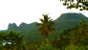 São Tomé e Príncipe – Quadros técnicos estão a ser capacitados sobre a conservação da biodiversidade