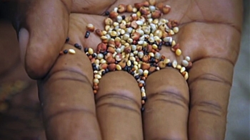 Moçambique – Empresários alertam para possibilidade de falta de alimentos no sul do país