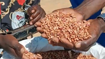 Angola – Grupo Carrinho lança campanha de compra de produtos agrícolas