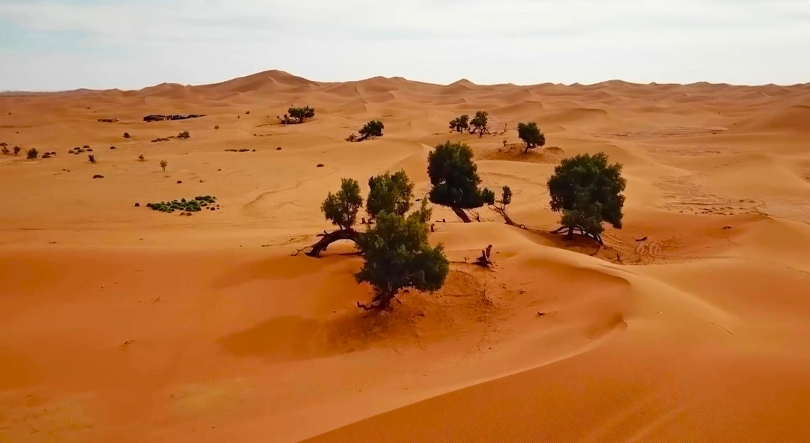 Alterações climáticas vão piorar a já difícil situação na África Austral – ACNUR