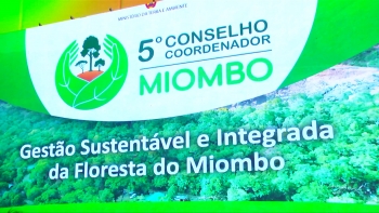 Moçambique – “Caça de espécies protegidas diminuiu cerca de 70% nos últimos 5 anos”