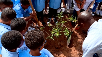 Cabo Verde – Associação defende educação ambiental com foco no combate à desertificação