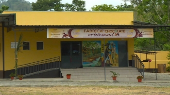 São Tomé e Príncipe – Cooperativa de Exportação de Cacau Biológico celebra 20 anos