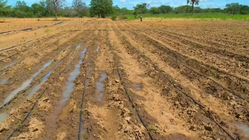 Angola – Técnicos brasileiros acreditam no potencial do Vale do Cunene para desenvolvimento agrícola