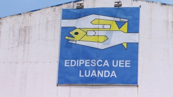 Angola – EDIPESCA necessita de mais de 27 milhões de euros para reabilitação das instalações