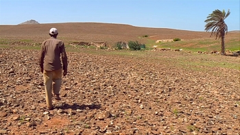 Cabo Verde – Governo vai conceder terras a agricultores da ilha Boa Vista