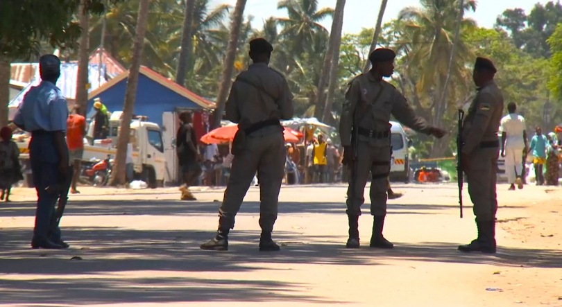 Imagem de Moçambique/Ataques – Forças de segurança abortam tentativa de invasão de alegados terroristas em Macomia