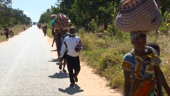 Moçambique – UE e sociedade civil defendem ações de preservação da paz e reconciliação nacional