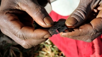 Guiné-Bissau – Sociedade civil contra político que defende Mutilação Genital Feminina