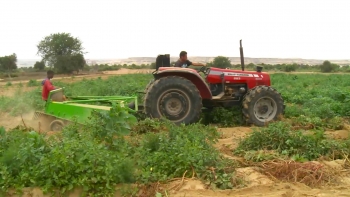 Imagem de Angola – Fábrica de fertilizantes da Catumbela apoia agricultores com produtos a preços bonificados