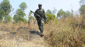 Imagem de Angola – Governo mantém compromisso de pacificação no leste da RDC