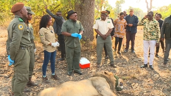 Moçambique – PR celebra Dia Internacional do Fiscal de Floresta e Fauna Bravia 