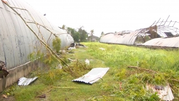 Moçambique – Plataforma Juvenil para Acão Climática pede mais educação para problemas do clima