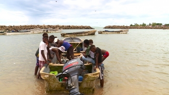 São Tomé e Príncipe procura integrar iniciativa internacional de transparência nas pescas