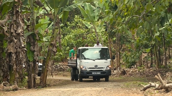 Imagem de São Tomé e Príncipe – Agricultoras recebem viatura de apoio ao escoamento de produtos para os mercados