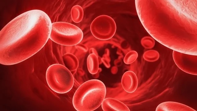 Cabo Verde conta ter reduzido em 20% anemia em crianças e grávidas