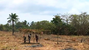 São Tomé e Príncipe – Dezenas de pessoas tentam expropriar terrenos às portas da cidade de São Tomé