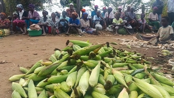 Angola – Camponeses queixam-se de constantes assaltos e pedem ajuda às autoridades