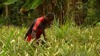 Imagem de São Tomé e Príncipe – “Aumento salarial não vai resolver o problema do custo de vida no país”