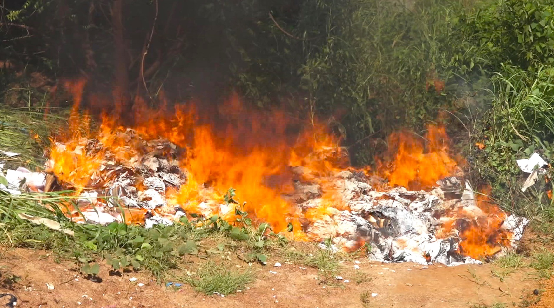 GuinéBissau CNE incinerou boletins de votos das eleições