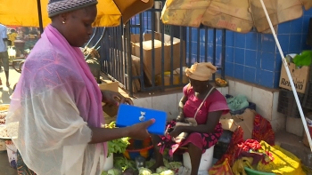 Imagem de Guiné-Bissau lança projeto para proteção social dos trabalhadores da economia informal