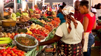 Cabo Verde – FAO apoia esforços do Governo para garantir segurança alimentar